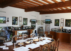 Vinastv Casetta Ernesto