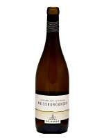 vno PINOT BIANCO  DOC