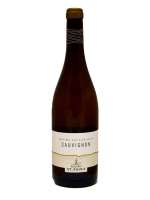 vno SAUVIGNON  DOC