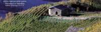 Azienda Agricola CAVEN
