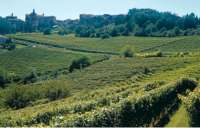 Cantina Flli. Casetta