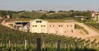 Toffoli Societa Agricola s.s.